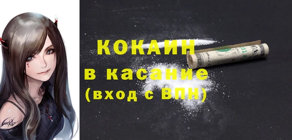 дживик Богданович