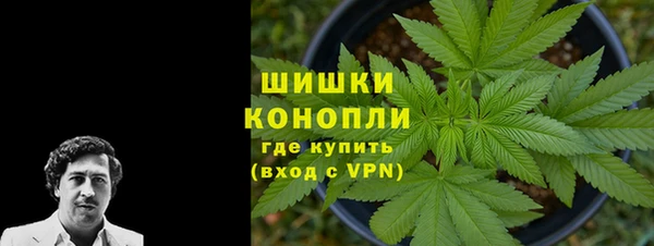 дживик Богданович