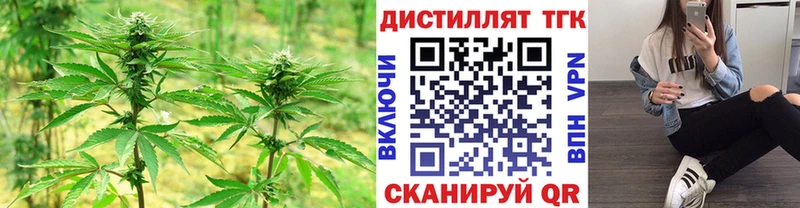 Дистиллят ТГК жижа  Купить  Томмот 