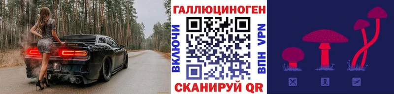Галлюциногенные грибы MAGIC MUSHROOMS  Купить где  Томмот 